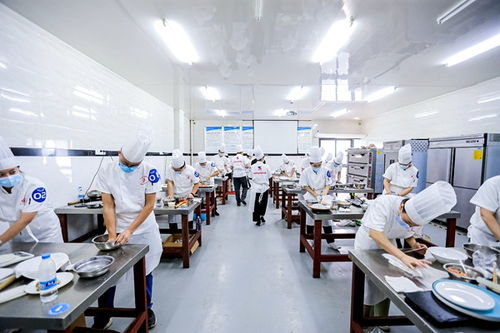 重慶高新區(qū)首屆“高新工匠杯”技能大賽開賽，信息技術(shù)咨詢服務(wù)領(lǐng)域人才角逐巔峰